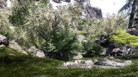 ballowloadgrass.