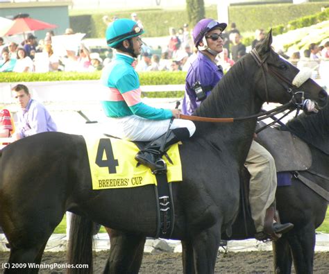 winningponies